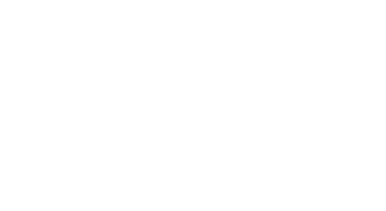 netto